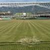 Liberati: partito l’intervento di manutenzione affidato da Stadium | VIDEO