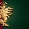 Ternana, giovedì il giorno della fusione: il “Progetto Fenice” entra nella fase decisiva