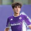 Ex Ternana, Montenegro debutta tra i professionisti: il talento viola va in prestito alla Dolomiti Bellunesi