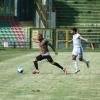 Ternana, oggi il test con il Campitello: prova generale verso il Montevarchi