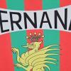 Marchio Ternana, oggi il giorno decisivo: non bastano 127mila euro, il costo reale supera i 172mila