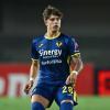 Ex Ternana, Nicola Patanè verso la Juve Stabia: accordo con il Verona a un passo