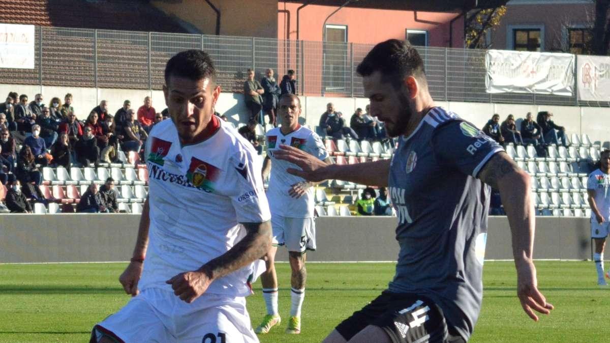 SPAL-Ternana, le probabili formazioni, orario d'inizio e diretta streaming