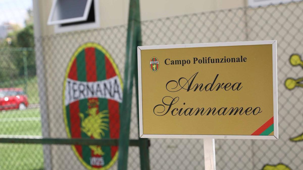 Campo "Andrea Sciannameo"