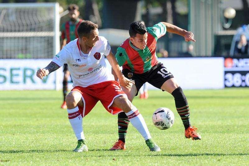 Mess - Il giusto mix fra giovani ed esperti fa la Ternana vincente