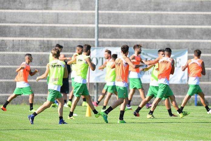 Notiziario - Ternana, fermo Marino e differenziato per Meccariello