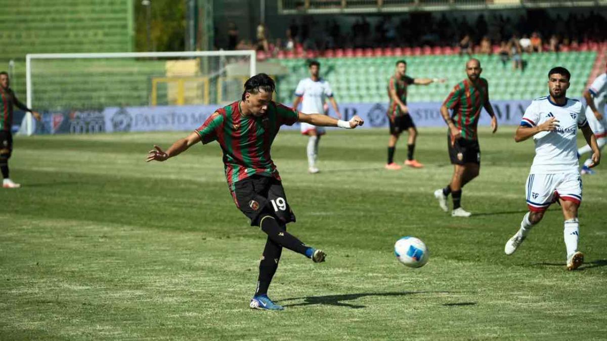 Kevin Meola