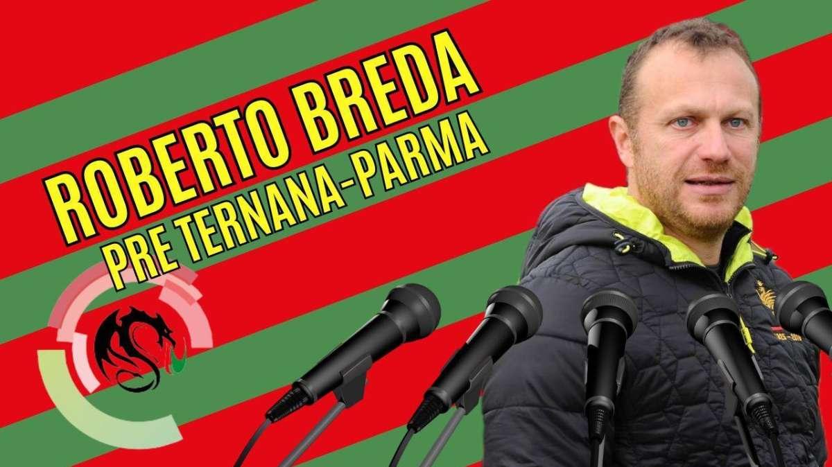 RIVIVI - TERNANA-PARMA, Breda: "Affrontiamo il Parma senza paura"