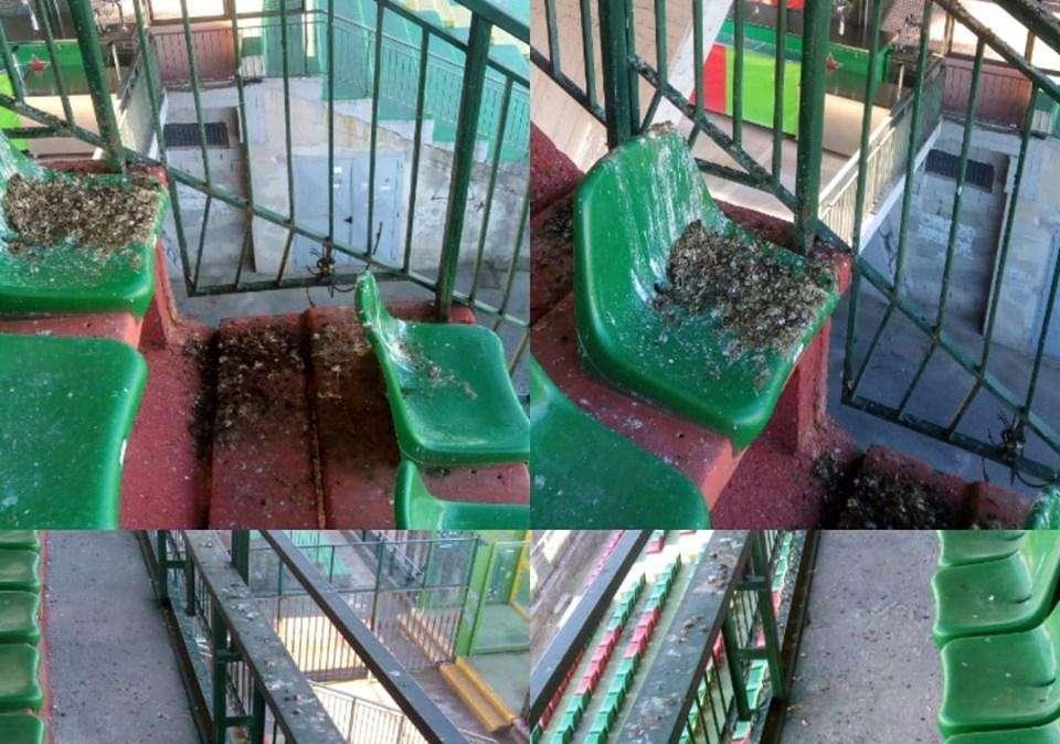 Ternana - I tifosi chiedono una maggiore cura del Libero Liberati