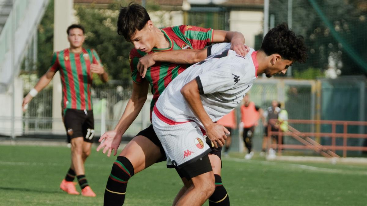 Lucchese-Ternana