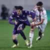Immagine news Mercato n.7