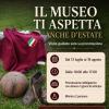 Immagine news Mondo e Storia Granata n.1