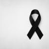 Immagine news Notizie n.2