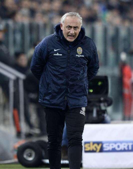 Hellas Verona, Mandorlini in conferenza stampa domani