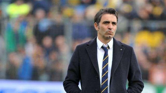 Hellas Verona, Pecchia a rischio esonero: tanti i nomi 