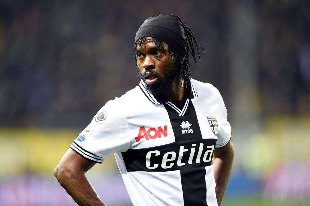 Le ultime da Parma, il report di oggi