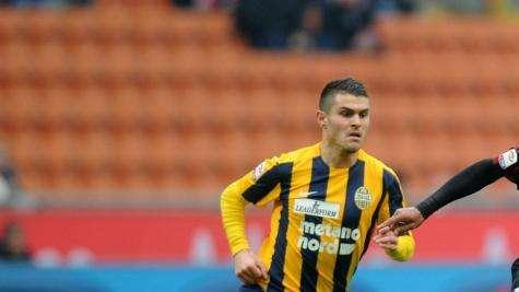 Toro, altre tre pretendenti per Viviani