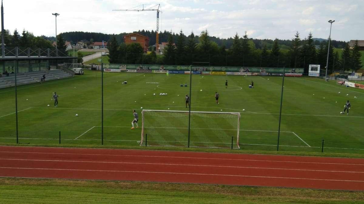 Buon test per il Toro B, poi entrano i titolari e battono l'Apollon