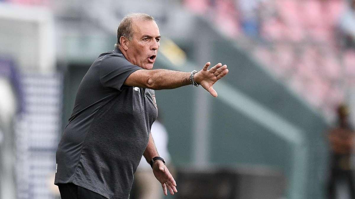 Salernitana, Castori: "Dobbiamo entrare nella mentalità della serie A"