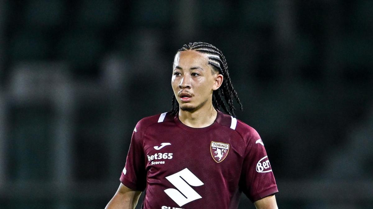 Toro, c’è in insostituibile in mediana: Fitz-Jim è l’uomo ovunque