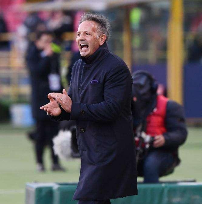 Bologna, Mihajlovic avverte il Torino: "Vogliamo fare punti all'Olimpico" 