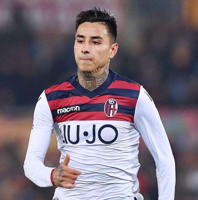Toro, il felsineo Pulgar potenziale idea di mercato. Numeri e fattibilità