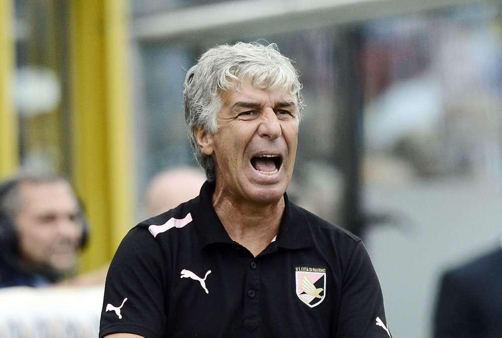 Palermo, Gasperini: "Classifica bugiarda per quello che abbiamo prodotto"