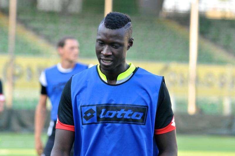 Cesena in contatto col Toro per il cartellino di Alfred Gomis