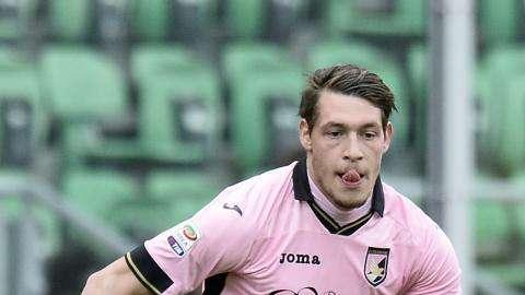 Defrel al Palermo non significa automaticamente Belotti in granata