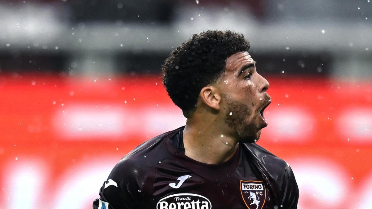 Torino, Adams: "Cercheremo di vincere anche per i tifosi che non ci sono" 