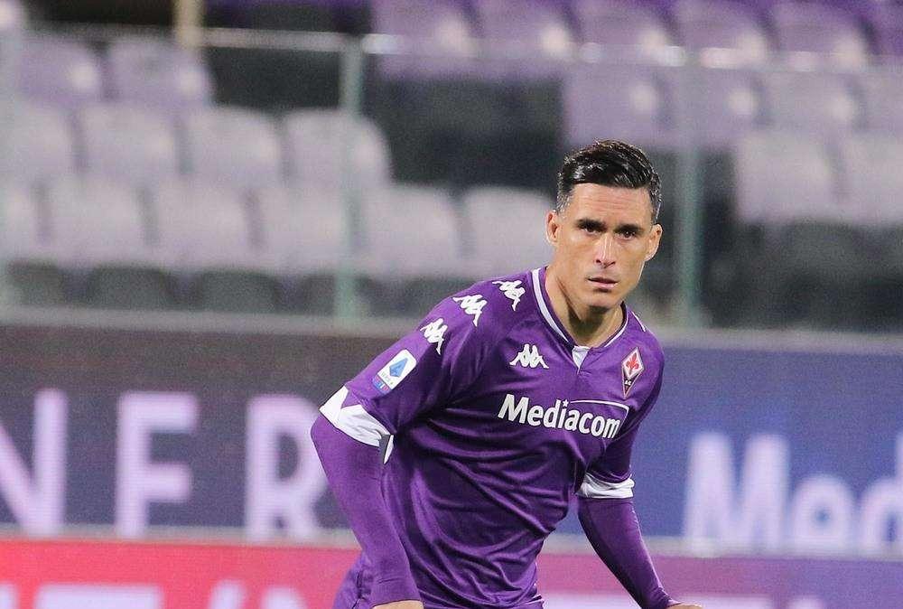 La Nazione: "Fiorentina, Iachini rilancia Callejon. Tornerà nel giro dei titolari"