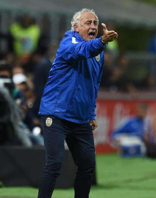 Hellas-Mandorlini, esonero non scontato. Arretra Guidolin, spunta Malesani