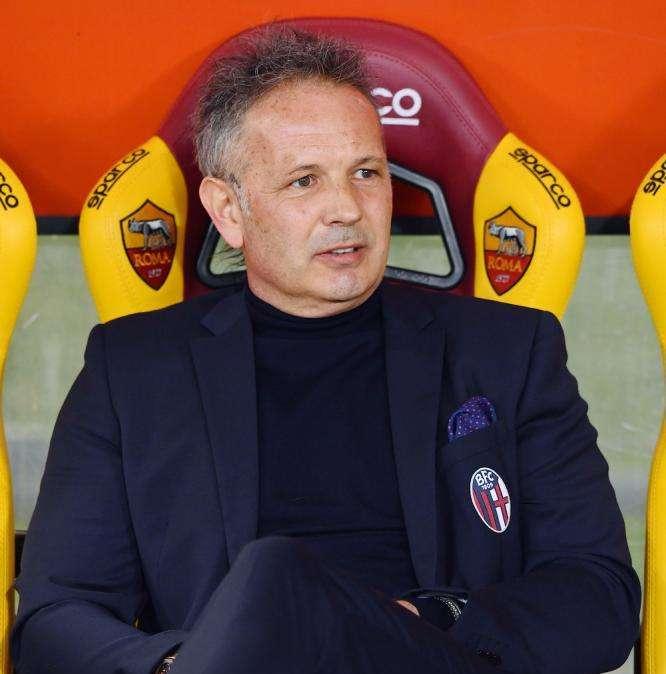 Bologna, Mihajlovic: "Edera in forse per un problema alla spalla. Il Torino è una squadra fisica e hanno giocatori di qualità" 