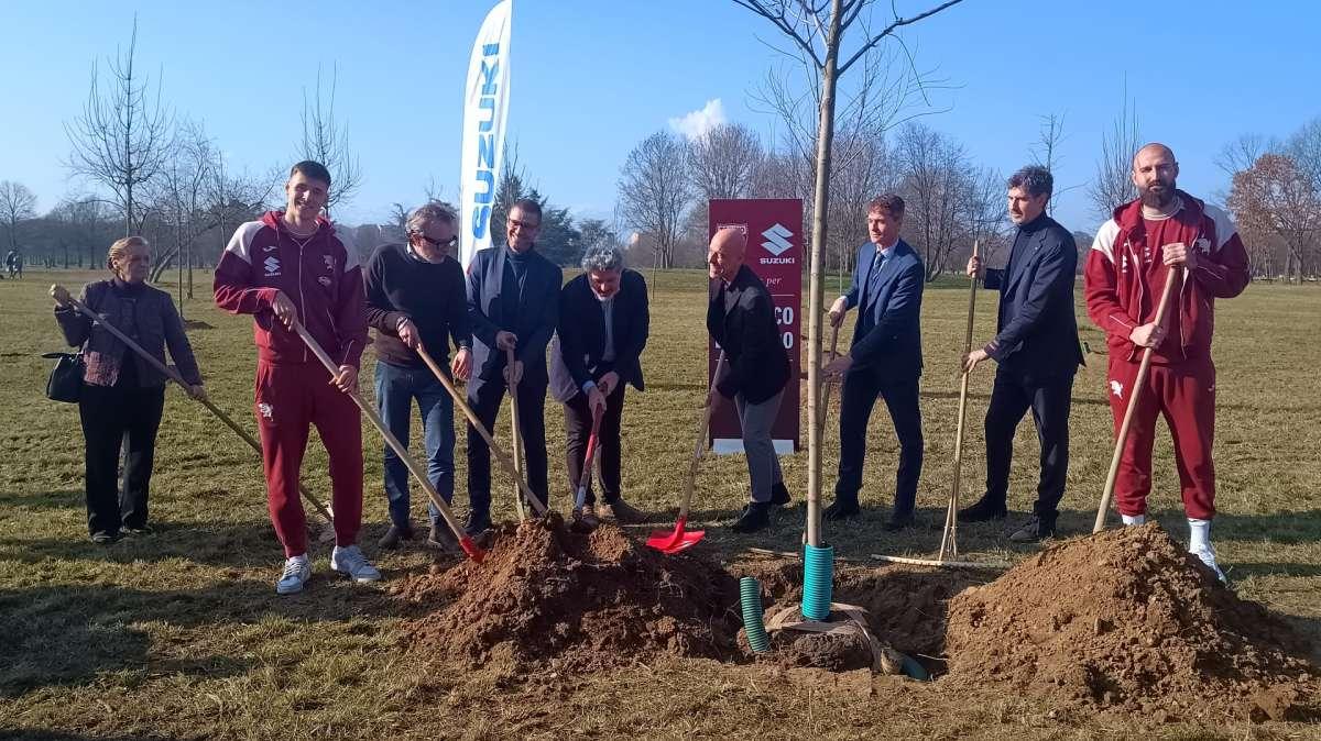 Il Bosco del Toro, le piante donate da Suzuki