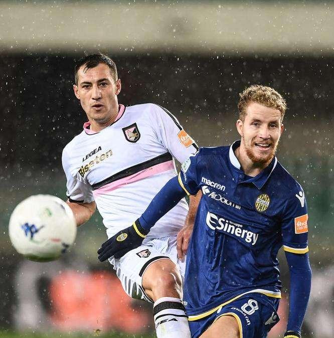 Gustafson in A col Verona, gli scaligeri puntano a confermarlo