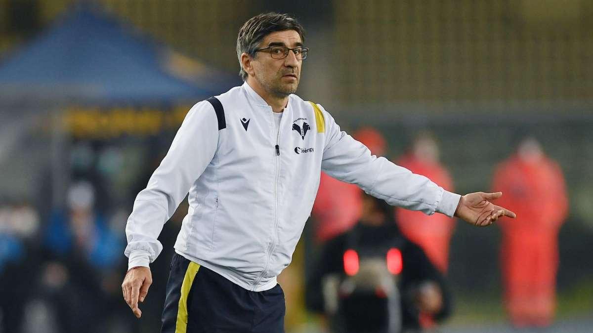 Verona, Juric: "Contro il Torino ci aspetta una partita difficilissima"