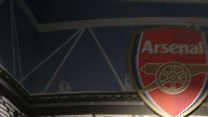 PREMIER - Arsenal willing to bring Australian goalie Ryan back