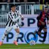 Calciomercato Ascoli, da Cremona: interesse per Damiani