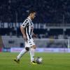 Ascoli, due gioielli pronti a esplodere in Serie B: D’Uffizi e Silipo fanno sognare i tifosi
