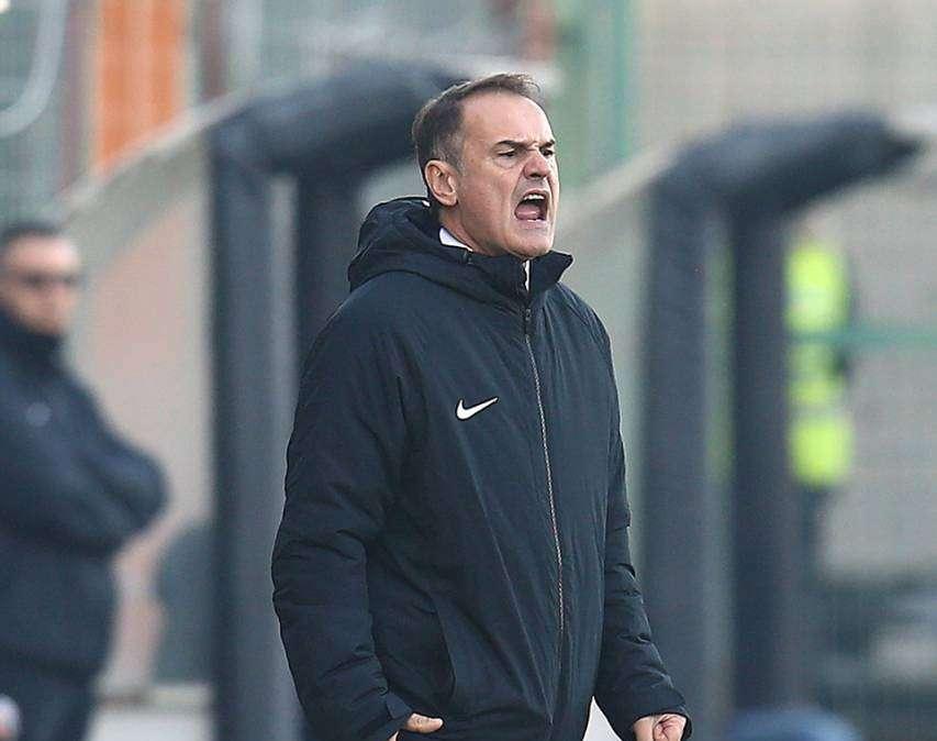 Cosenza-Ascoli, Vivarini: "Meritavamo di vincere, ci è mancato solo il gol"