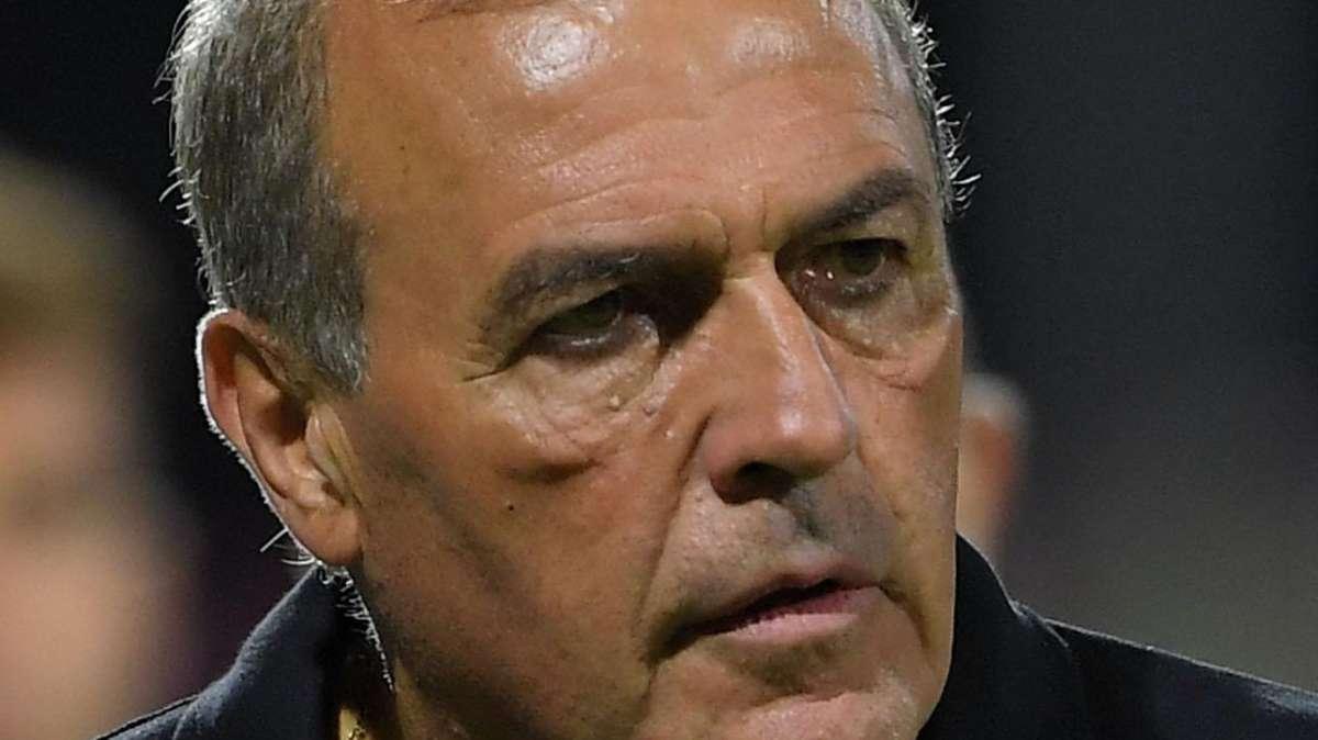 Le mosse di Castori per far risorgere il Picchio in attesa del mercato