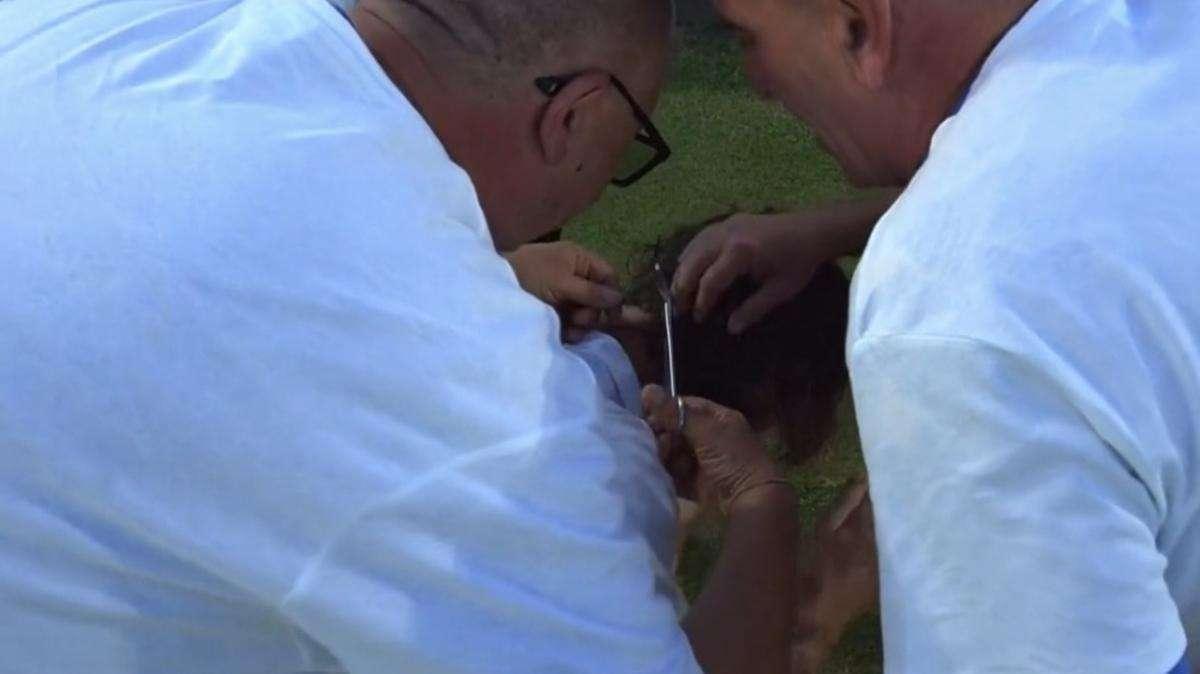 Corazza mantiene la promessa: il taglio del codino diventa il simbolo della promozione dell’Ascoli