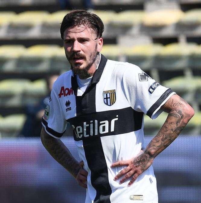 Vacca nel mirino dell'Ascoli