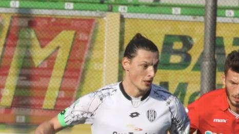 Vinto il ricorso per Milanovic, sarà in campo contro l'Avellino