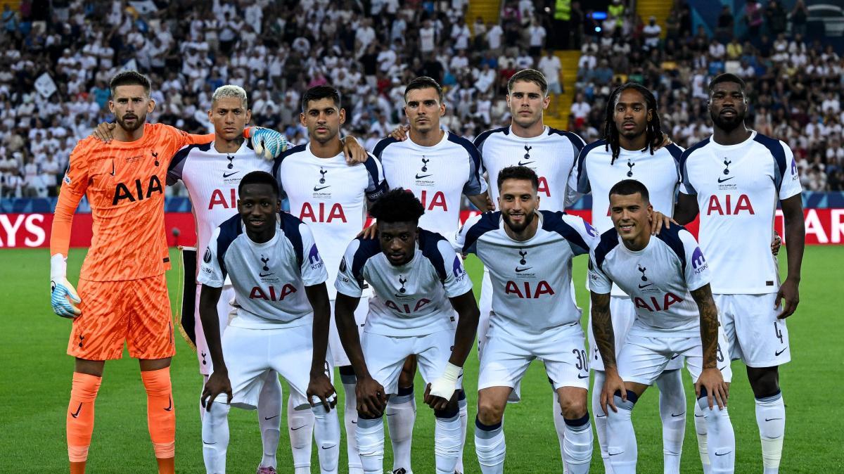 Premier League, dominio dei capitali stranieri: solo quattro club hanno proprietà inglese