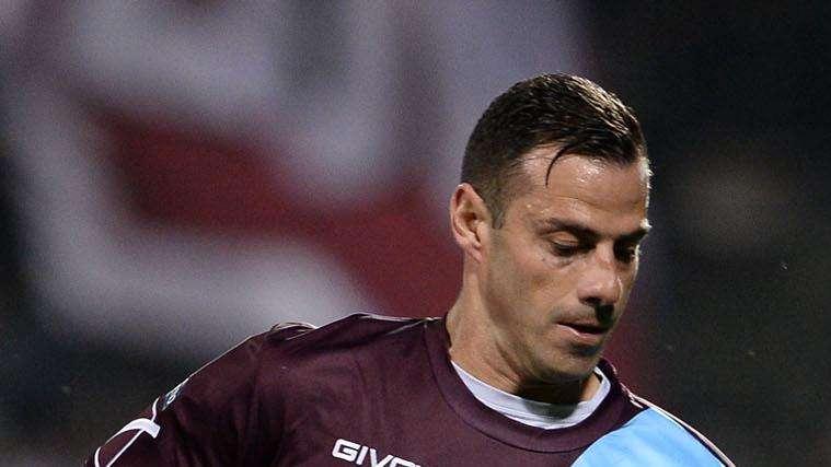 Calaiò: "Atalanta la vera rivale del Napoli"