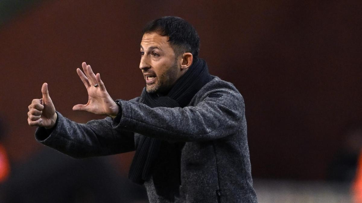 Bologna travolto 4-1 dal Pisa: difesa in allarme