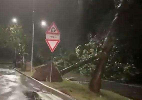 TA - Un vento sorprendente si scaraventa su Locate: raffiche da 90 km/h sradicano diversi alberi
