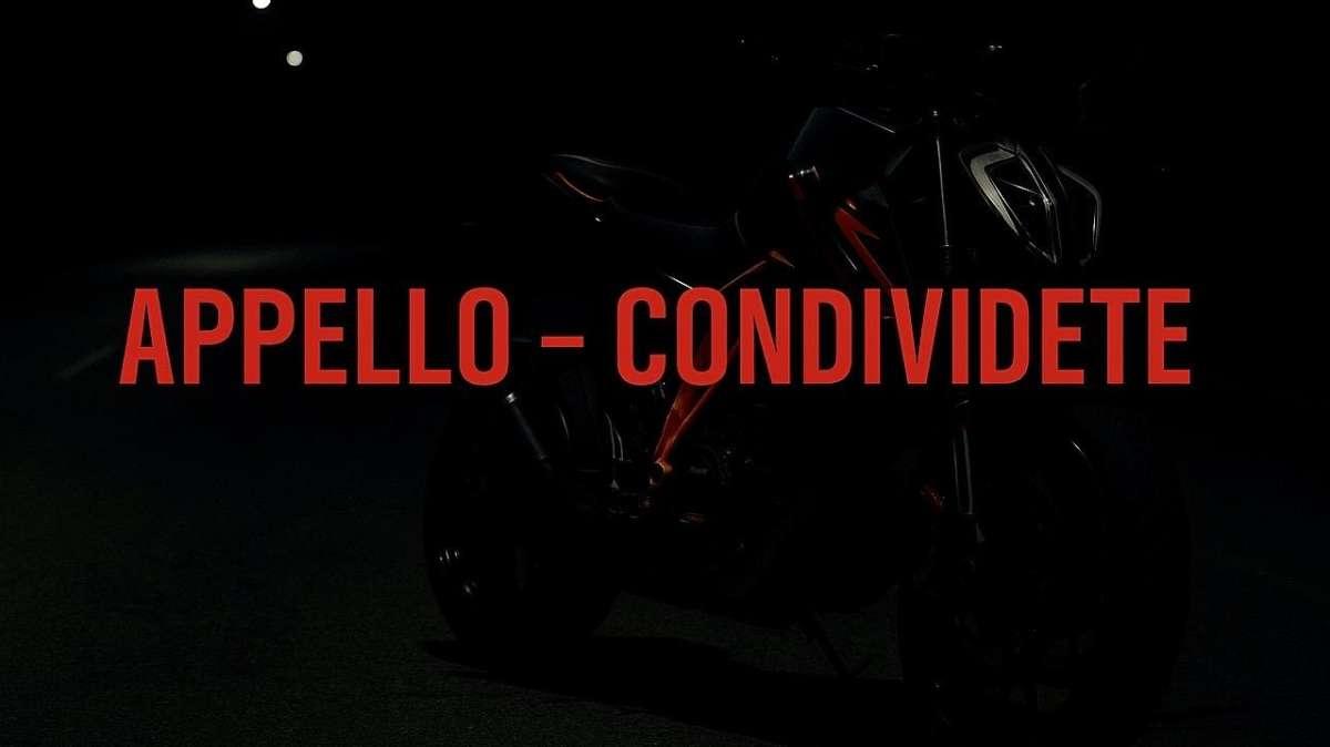 «Chi ha visto, parli»: l’appello della moglie di Cesare Patruno dopo il terribile incidente in moto