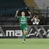 Avellino-Vicenza 2-0, fine primo tempo: Lupi meritatamente avanti e in palla